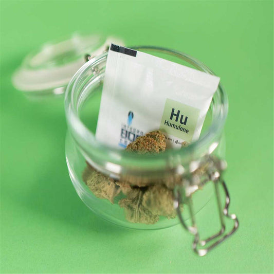 Integra Boost Terpene Humulene 4 g — Hauptansicht