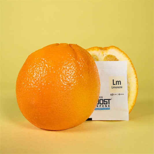 Integra Boost Terpene Limonene 4 g — Hauptansicht
